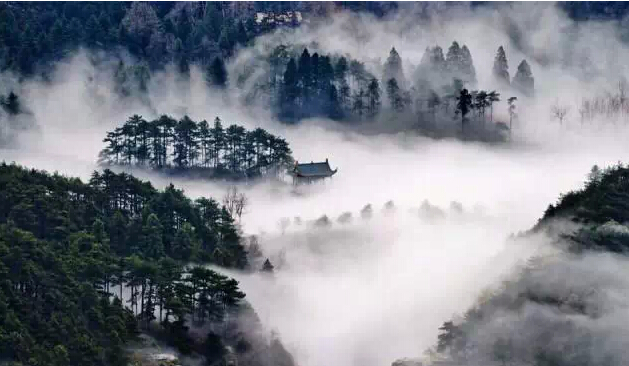 庐山休闲深度双高4日游